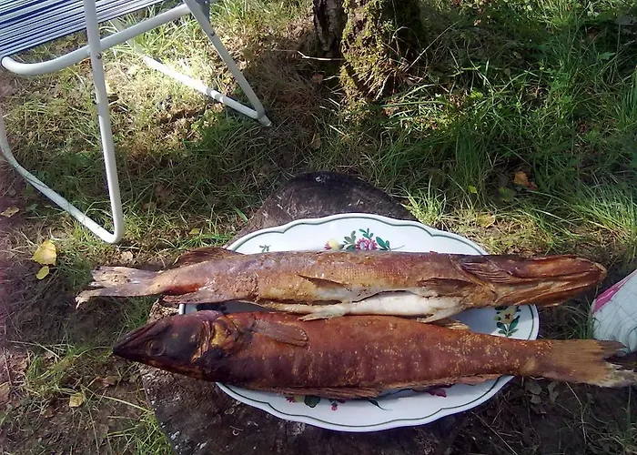 Jaervenukka Puhkemaja